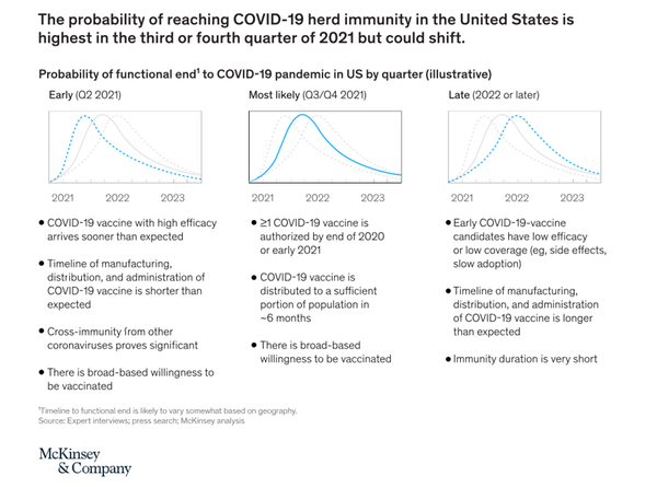 The probability of reaching COVID-19 herd immunity in the USA